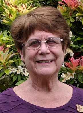 Maker:S,Date:2017-12-28,Ver:6,Lens:Kan03,Act:Lar02,E-Y