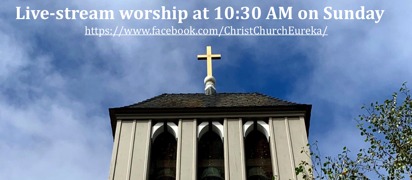 Live-stream worship.png