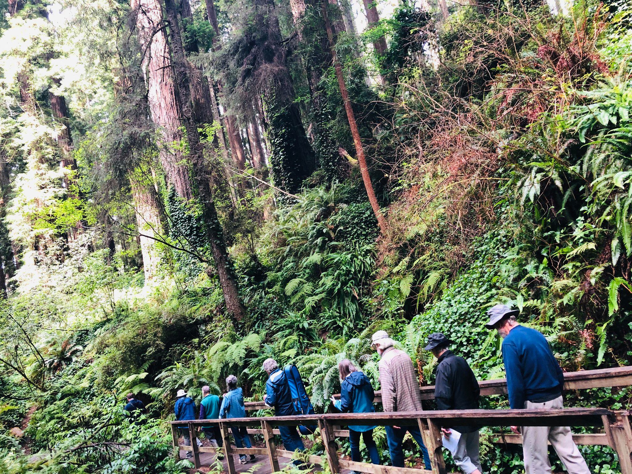 68249722_2138610396266791_6420969665069056000_n